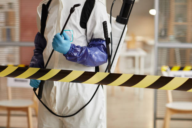 Professional Blood Cleanup technician working in Green Forest, AR